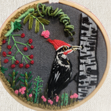 Woodpecker